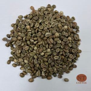 Granos de Café Verde Robusta de Origen Vietnamita, Alta Cantidad de Cafeína, Sabor Intenso, Secados Naturalmente al Sol, Granos de Café Crudos, Suministro a Granel - Product Image 1