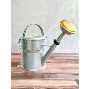 Arrosoir en acier galvanisé WHITE ROYALS de 8 L avec bec long et buse de douche détachable pour une utilisation en intérieur, en extérieur et dans le jardin - Product Image 5