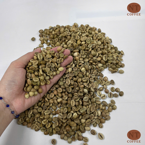 เมล็ดกาแฟโรบัสต้าคุณภาพพรีเมียมจากเวียดนาม ผลผลิตสดใหม่ จำหน่ายจำนวนมาก ราคาส่งออกที่แข่งขันได้ - Product Image 1
