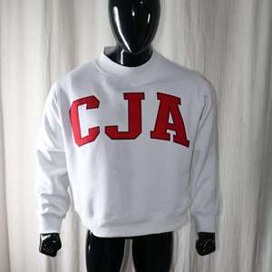 Sweat-shirt en molleton à col rond de qualité supérieure pour l'hiver, streetwear, 100% coton, broderie appliquée, unisexe, surdimensionné, FZYPS SPORTS - Product Image 1