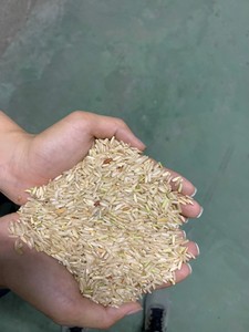 100% riz brun biologique du Vietnam séché exporté à bas prix-Mr Kelvin + 84 924 736 232 - Product Image 6