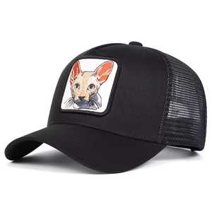 Comfortable Best Price Sports <b>Hats</b> Best Quality Sports <b>Hats</b> Hot Arrival Sports <b>Hats</b> For Online Sale - Product Image 5