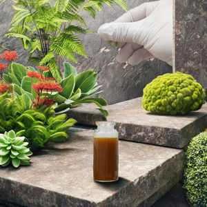 สารสกัดจากสมุนไพร Champaka เกรดอาหารสกัดจาก CO2ที่อุดมด้วยวิตามิน - Product Image 3