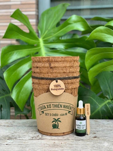 Maceta Biodegradable de Fibra de Coco/Maceta de Cáscara de Coco, Material Natural, Acabado Cromado, Diseño Cuadrado, Ecológica, Económica - Product Image 6