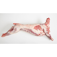 Carcasse d'agneau HALAL fraîche surgelée IQF, qualité supérieure, grade A, 25 kg, origine Royaume-Uni, prête à l'exportation