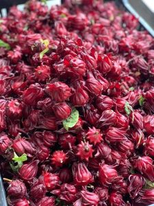 Flor de hibisco Roselle de Vietnam: Flor entera seca para té de hierbas, Exportación a granel con embalaje OEM/Sra. Lima - Product Image 5
