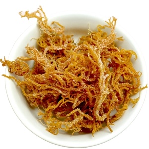 VIETNAM SEAMOSS HIGH QUALITY VIETNAM SEAFOOD PRODUCT GOOD PRICE WHOLESALE VIETNAM MS MARY - Product Image 3