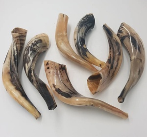 เขาชอฟาร์โมเสกธรรมชาติที่เป็นมิตรกับสิ่งแวดล้อม |   เขาแกะแบบดั้งเดิมของชาวยิวสำหรับตกแต่งบ้านและของขวัญงานแต่งงาน - Product Image 2