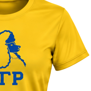 T-shirt de sport personnalisé à col rond pour femme Sigma Gamma Rho, manches courtes, idéal pour l'entraînement et la gym, vente en gros d'articles de sport - Product Image 5
