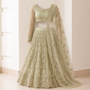 Vêtements ethniques pour femmes, tenue de soirée, lehenga, broderie papillon en filet, filet intérieur en soie Banjori, bordure en dentelle, lourdement orné. - Product Image 1