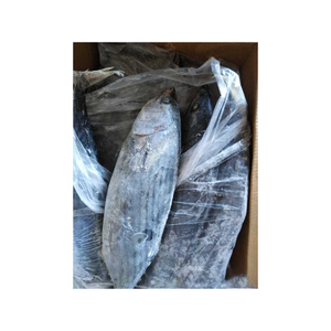 Approvisionnement en gros de poisson bonite congelé, prix bas, poisson congelé fiable pour l'exportation - Product Image 4