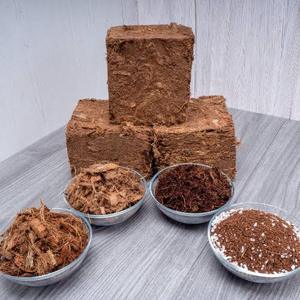 Bloc de cocopeat compressé du Vietnam, substrat organique pour plantes et pépinières - Product Image 6