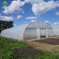 Serre agricole à un seul travert, type tunnel en polyéthylène, à toit en dents de scie, pour la culture de tomates – Vente chaude