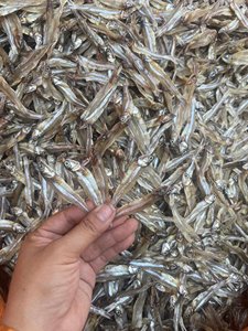 Anchois séchés du Vietnam pour la vente en gros, destinés aux acheteurs de produits de la mer, aux services de restauration et aux importateurs internationaux - Product Image 3