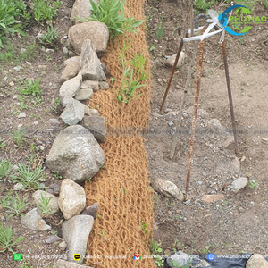 Filet en fibre de coco de qualité professionnelle pour la protection des pentes et le renforcement durable du sol dans les projets d'infrastructure - Product Image 5
