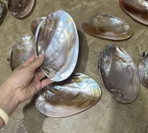 Premium Mother of Pearl Plate Vietnam Natural Shell Material for <b>Vanity</b> Tray <b>Dressing</b> <b>Table</b> Decor Gift Tray Polished - Product Image 2