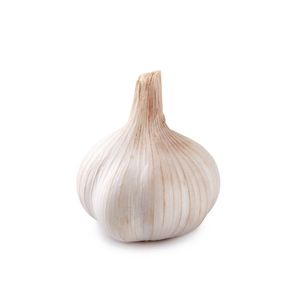 Ajo Blanco Fresco de Alta Calidad en Empaque de Malla con Bulbos Limpios y Clasificados para la Demanda de Importadores y Compradores - Product Image 2