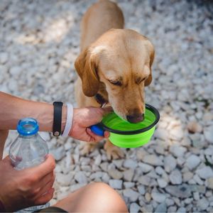 Set di 4 Ciotole Pieghevoli in Silicone Senza BPA per Cani e Gatti, Ideali per Viaggi - Product Image 6