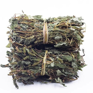 Vietnam Dried Fish Mint Leaves Bulk Supply 10kg Carton for Tea Processing Food Manufacturing and Export - Product Image 1