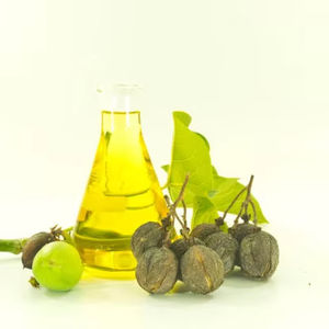 Huile de graines de Jatropha brute biologique écologique en vrac, en fût et en bouteille de verre, fournisseur de matières premières pour biocarburants et énergies renouvelables - Product Image 1