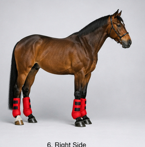 <b>Equestrian</b> Horse Riding Neoprene Medicine Boots Breathable Shock Absorbing Durable Leg Protection OEM Custom Service - Product Image 4