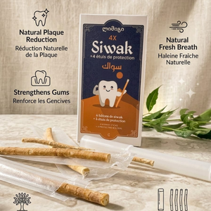 Pure Herbal Miswak Stick Teeth <b>Cleaner</b> Natural Meswak Pack of Four with <b>Plastic</b> Case for Strong Gums and Clean Teeth - Product Image 3