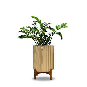 Support de plantes en bois de luxe fait à la main pour l'intérieur et l'extérieur, support de jardinière - Product Image 3