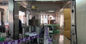 Automatic Electric Bopp <b>Labeling</b> <b>Machine</b> with Laser & Inkjet <b>Printing</b> for Plastic Bottles - Product Image 2