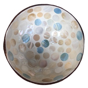 Direct Factory Wholesale Premium Quality Handmade Enamel Bowl Circle Seashell Coconut Lacquer Customized <b>Lightly</b> Spoon Weddings - Product Image 3