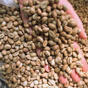 Granos de Café Verde Robusta Orgánico de Vietnam USDA S16 100% Natural de Alta Calidad Grado A+ Certificado ISO 22000 0.1% Negro Roto - Product Image 1