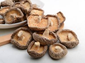 100% Hongos Shiitake secos naturales al por mayor - Product Image 4