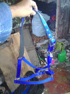 PARA la venta PP MINK HORSE HALTER INGLÉS caballo Halter caballo brida ecuestre COLOR AZUL NEGRO MARINO ROJO EN dólar 2 - Product Image 5