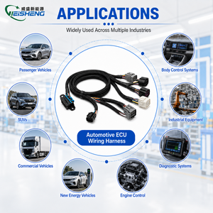 Faisceau de câblage automobile personnalisé avec gaine tressée et connecteurs multi-types pour la réparation du module de commande ECU de voiture - Product Image 2
