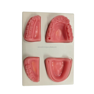 Almohadilla de Práctica de Sutura Dental de Silicona 3D, Modelo Anatómico de Entrenamiento para Universidades, Proveedor Mayorista de Instrumentos Dentales - Product Image 3