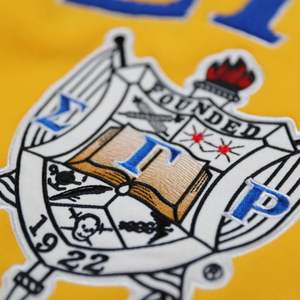 Nouveau design 2026 – Sweat-shirts à capuche Sigma Gamma Rho SGR en gros, lettres grecques brodées en chenille or et bleu, vêtements de sororité - Product Image 4