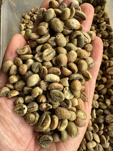เมล็ดกาแฟคั่วแบบขายส่ง 100% อาราบิก้า เวียดนาม คั่วแบบอ่อนและปานกลาง คุณภาพสูงสุด กาแฟพิเศษ ซิงเกิลออริจิน - Product Image 2
