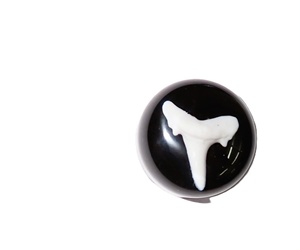 Dents de requin artificielles modernes en plastique cabochon rondes 25x25 mm noires à fond plat pour l'artisanat et la fabrication de bijoux - Product Image 3