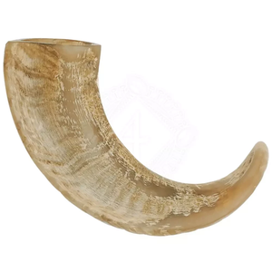 Corne à boire en buffle la plus vendue, fabricant et exportateur de cornes à boire en buffle naturelles d'Inde - Product Image 6