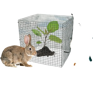 Jaulas protectoras de plantas de alambre con cubierta de alambre superior para plantas y arbustos de jardín al aire libre - Product Image 1