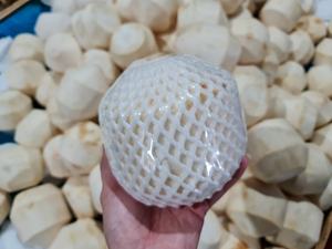 EXPORT STANDARD Premium Whole FRAIS DIAMOND COCO Husk Shell Organic 800g 900g Vietnam Quality Healthy Natural Tropical Drink - Product Image 3