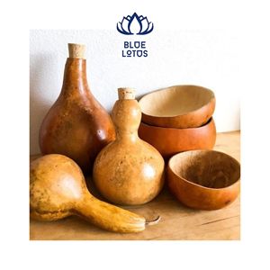 Bols en calebasse faits à la main, écologiques, pour le service alimentaire et la décoration rustique de la maison, pour les importateurs en gros - Vente chaude - Product Image 1