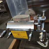 Machine de remplissage de sachets d'eau pure, vente directe usine, machine d'emballage électrique automatique pour boissons en petits sachets, machine de remplissage de sachets de 500 ml