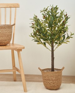 Cesta de Mimbre Natural Hecha a Mano para Plantas, Maceta de Almacenamiento, Decoración Rústica para Interiores y Exteriores, Decoración del Hogar - Product Image 1