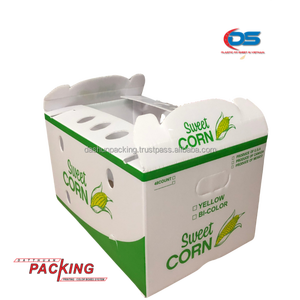 OEM xuất khẩu dat Thuan sóng nhựa lưu trữ bin nước phong cách cho PP hộp sóng cho thức ăn và rau lưu trữ - Product Image 5