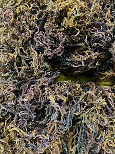 Musgo Marino Morado de Alta Calidad 100% Natural Musgo Marino Americano Musgo Irlandés de Vietnam/ Sra. Lima - Product Image 5