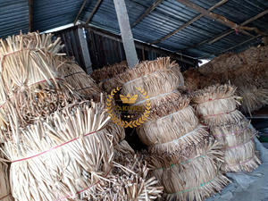 Jacinthe d'eau séchée pour la fabrication artisanale de balles de jacinthes d'eau sèche Quantité en vrac prête pour l'exportation Origine Vietnam - Product Image 6