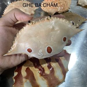 Cleaned Polished Dried <b>Crab</b> <b>Shell</b> Smooth Inner Surface No Meat Residue Low Odor from Vietnam - Product Image 1