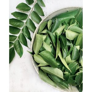 Extracto de Hojas de Curry, Extracto de Planta Murraya Koenigii, Fabricante de la India - Product Image 1