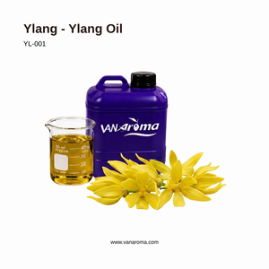 Aceite Esencial de Ylang Ylang Exótico, Aroma Cálido, Dulce y Floral (YL-001), Van Aroma - Product Image 1