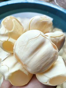 Fruta de Palma Toddy de Vietnam en Jarabe, Cubos de Gelatina de Palma, Suministro a Granel para Té de Burbujas, Postres y Servicios de Alimentación - Sra. Tarina - Product Image 2